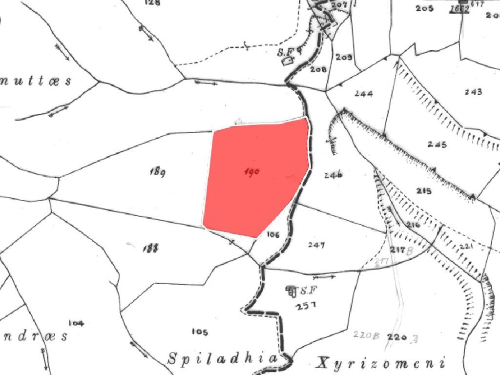 Field - Akoursos, Paphos