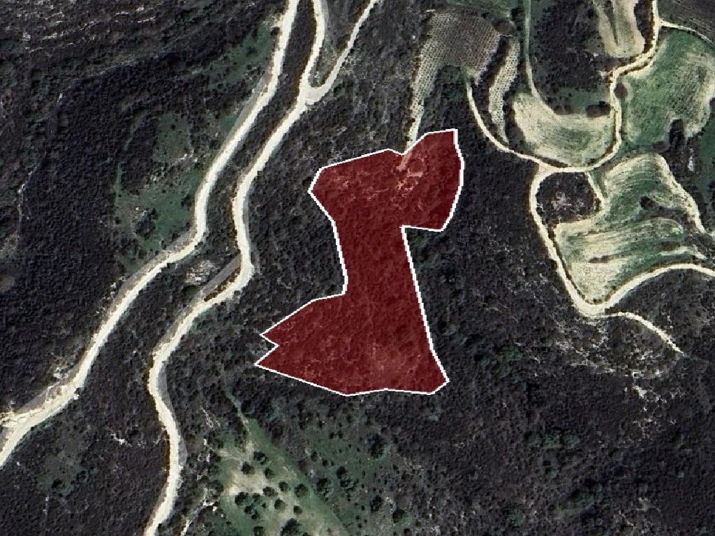 Field - Kathikas, Paphos