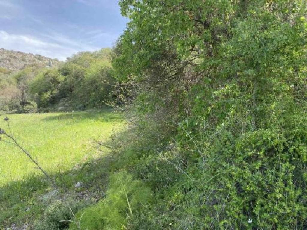 Peristerona, Paphos Agricultural Field For Sale | WW31105