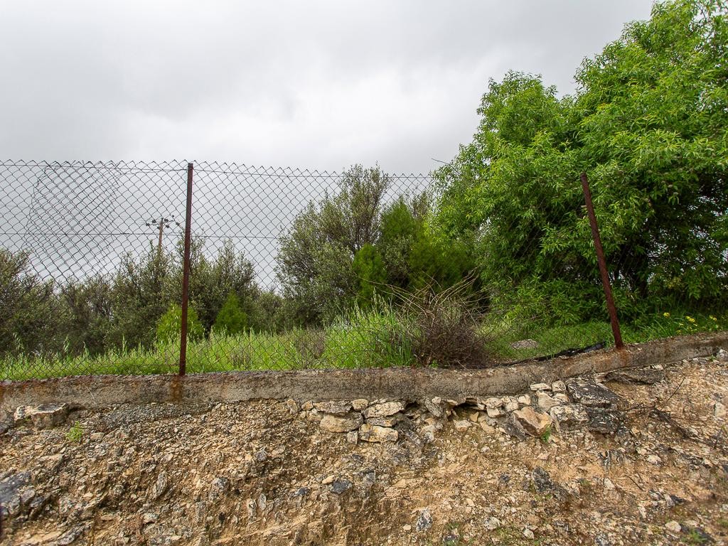 Field (share) - Paramytha, Limassol