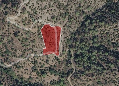 Mathikoloni, Limassol Agricultural Field For Sale | WW31111