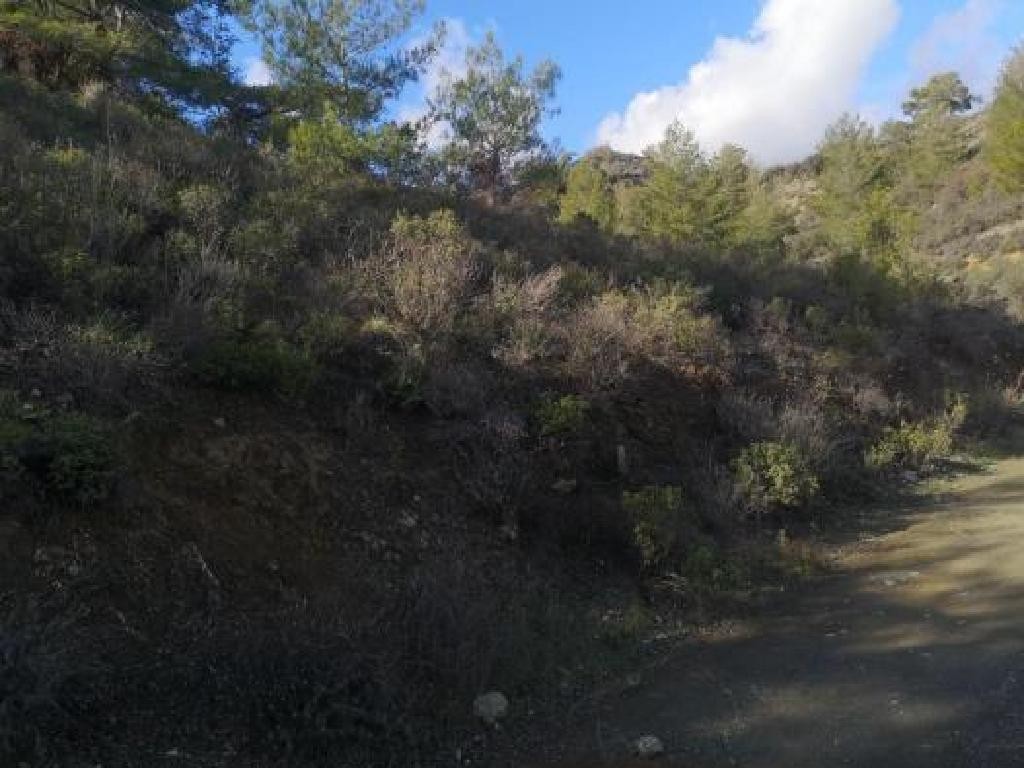 Louvaras, Limassol Agricultural Field For Sale | WW31112