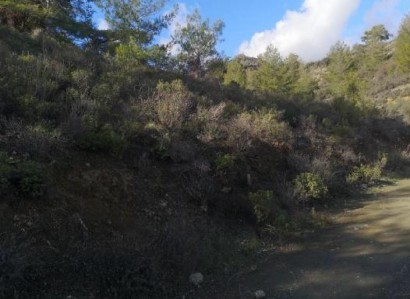 Louvaras, Limassol Agricultural Field For Sale | WW31112