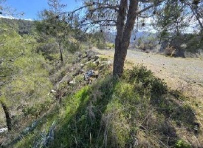 Potamitissa, Limassol Residential Field For Sale | WW31113