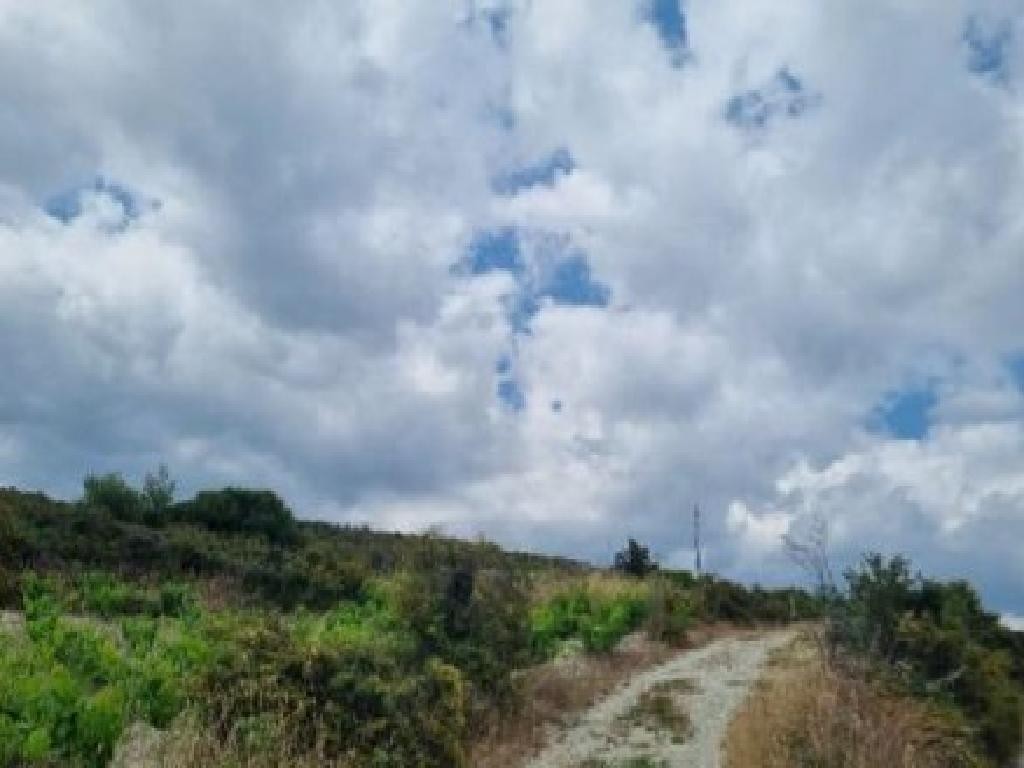 Koilani, Limassol Agricultural Field For Sale | WW31114