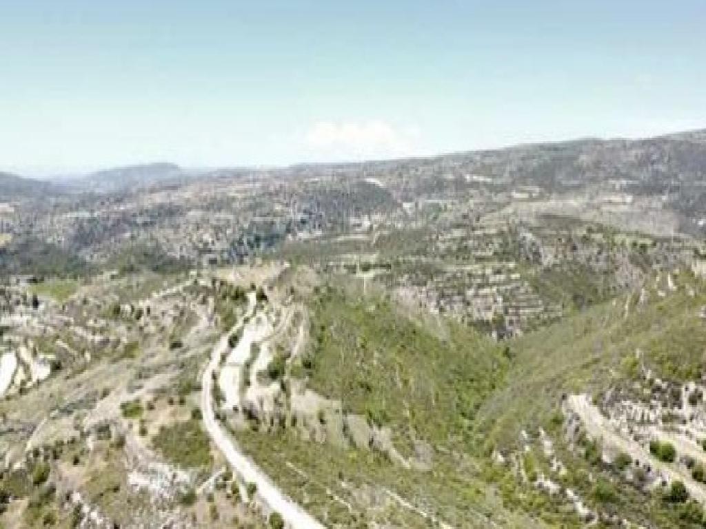 Vouni, Limassol Agricultural Field For Sale | WW31115