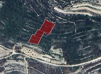 Vouni, Limassol Agricultural Field For Sale | WW31115