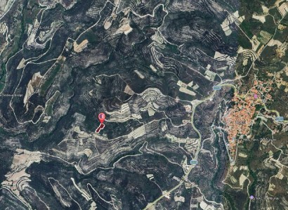 Vouni, Limassol Agricultural Field For Sale | WW31115