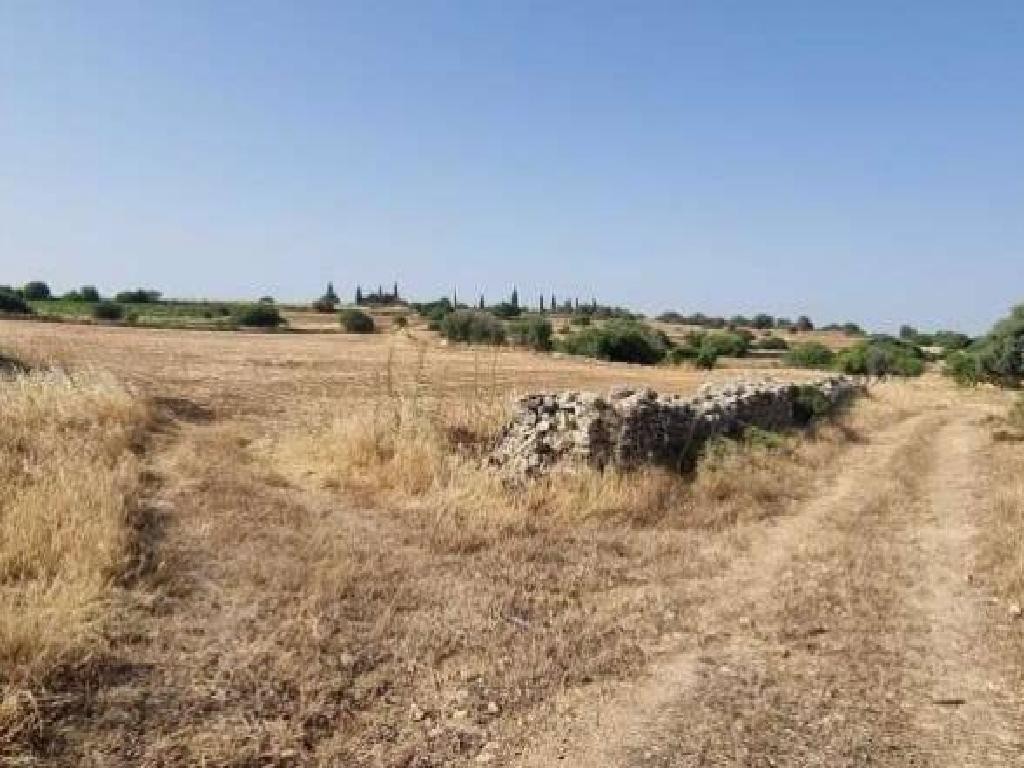 Pachna, Limassol Agricultural Field For Sale | WW31116