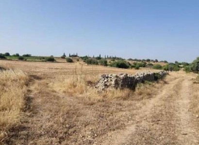 Pachna, Limassol Agricultural Field For Sale | WW31116