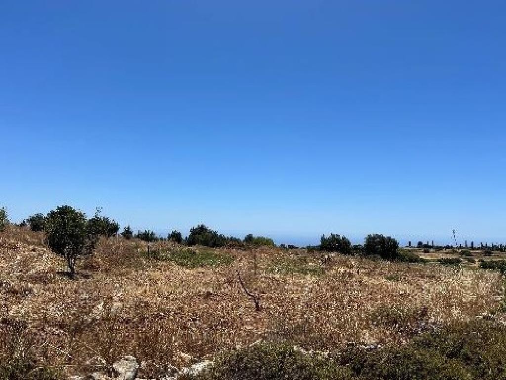 Field - Pachna, Limassol