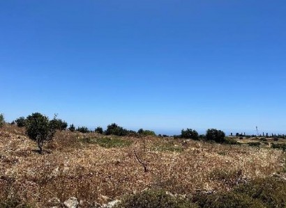 Pachna, Limassol Agricultural Field For Sale | WW31116