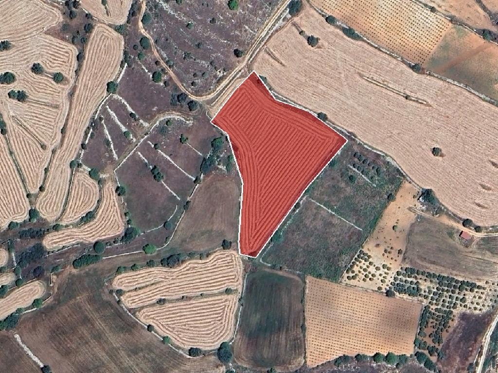 Field - Pachna, Limassol