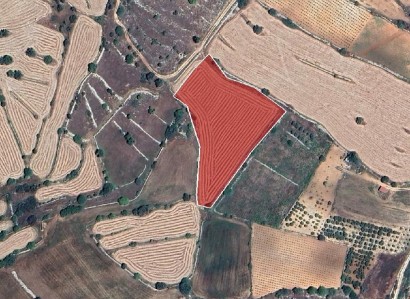 Pachna, Limassol Agricultural Field For Sale | WW31116
