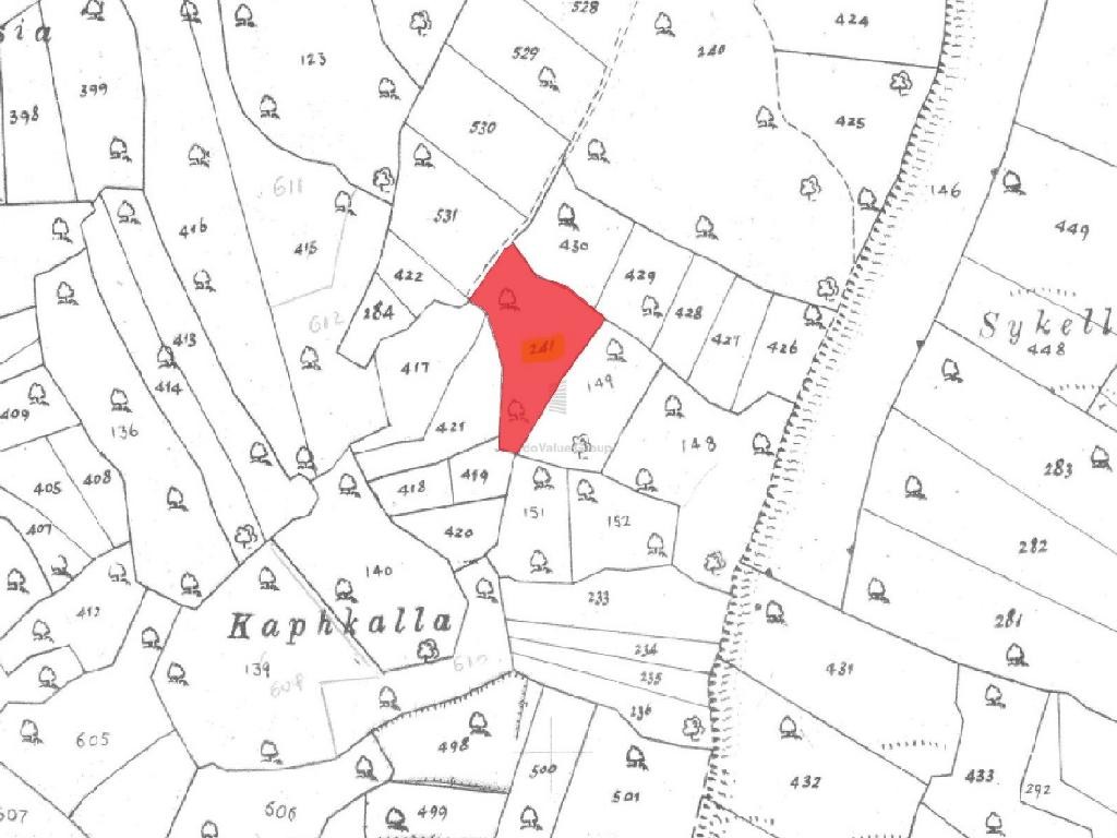 Field - Pachna, Limassol