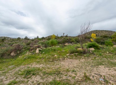 Pyrgos, Limassol Residential Field For Sale | WW31117