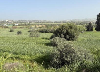 Aradippou, Larnaca Residential Field For Sale | WW31118