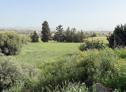 Aradippou, Larnaca Residential Field For Sale | WW31118