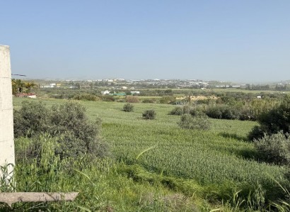 Aradippou, Larnaca Residential Field For Sale | WW31118