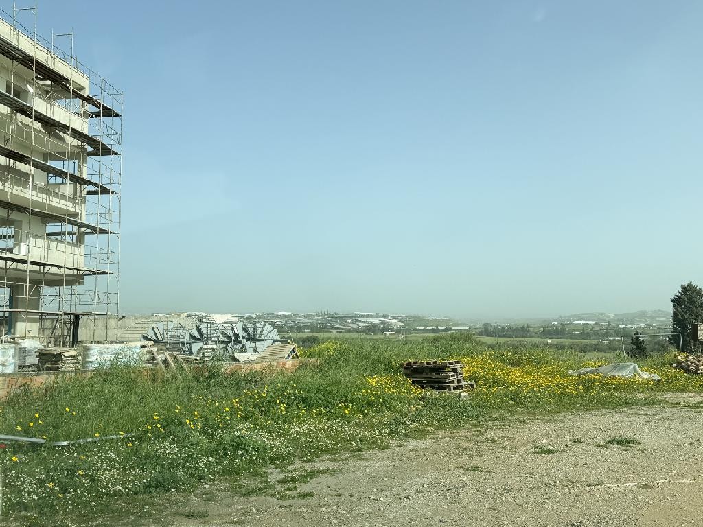 Field (share) - Agios Loucas, Aradippou, Larnaca