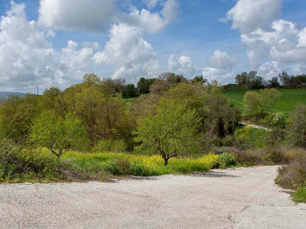 Field - Drymou, Paphos