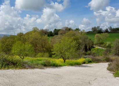 Drymou, Paphos Agricultural Field For Sale | WW31123