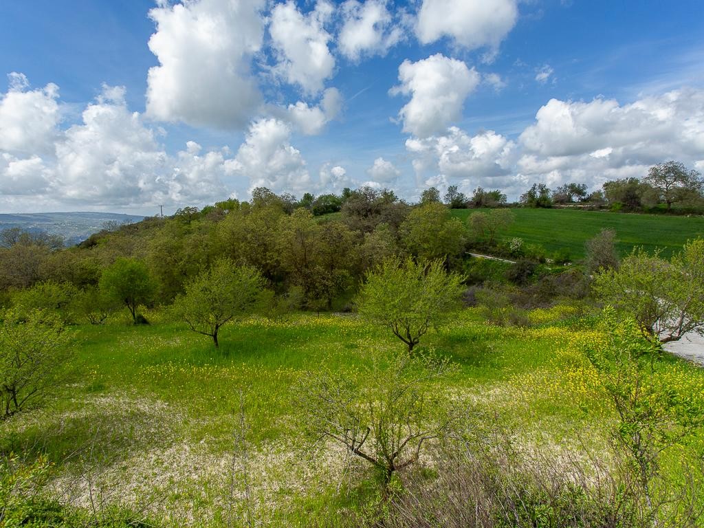 Field - Drymou, Paphos