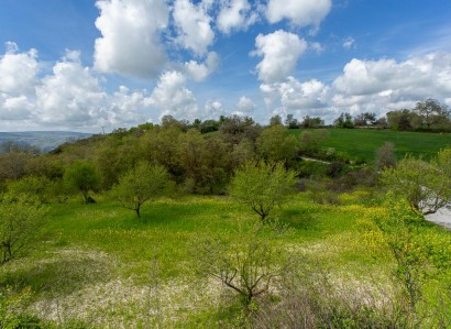 Drymou, Paphos Agricultural Field For Sale | WW31123