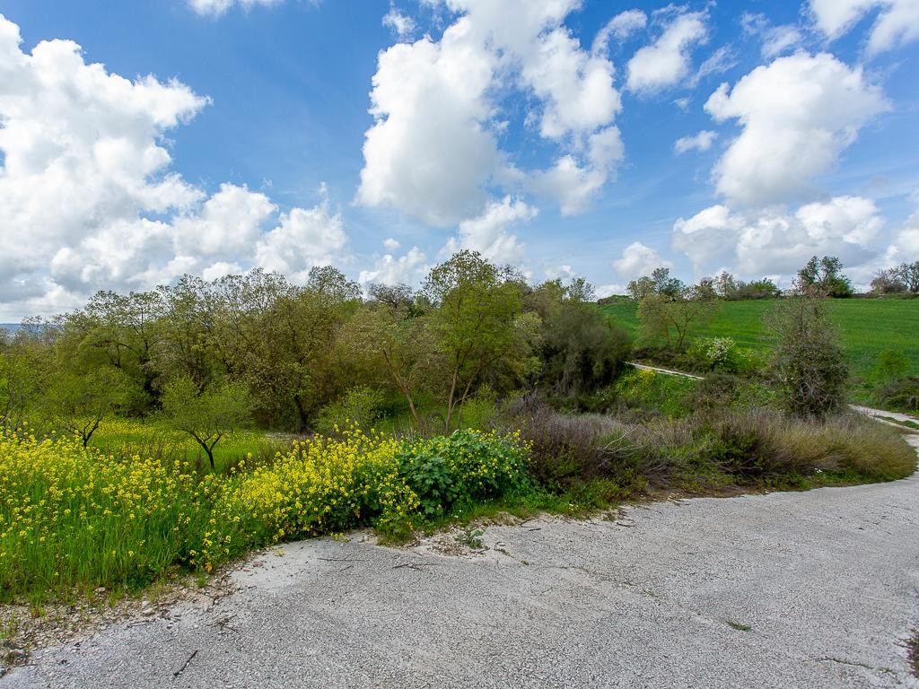 Field - Drymou, Paphos