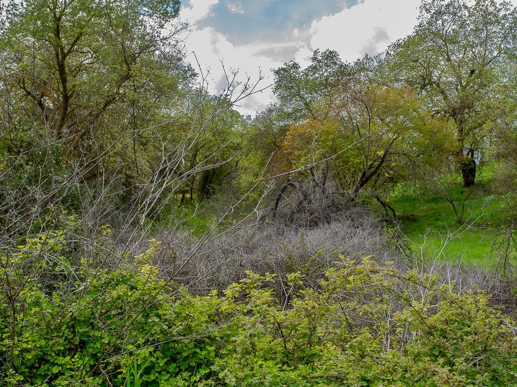Field - Drymou, Paphos