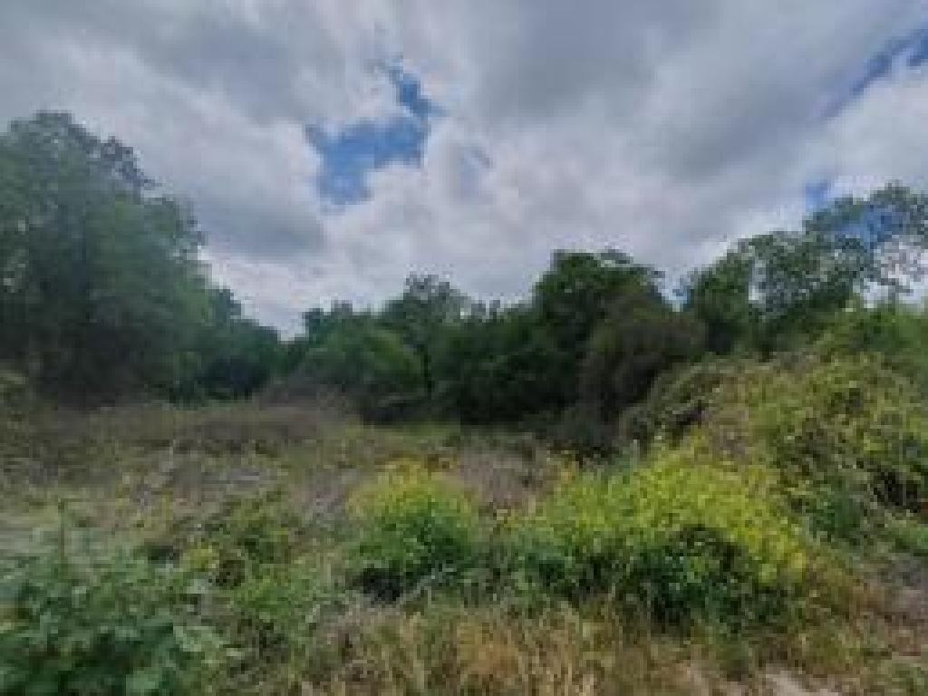 Field - Drymou, Paphos