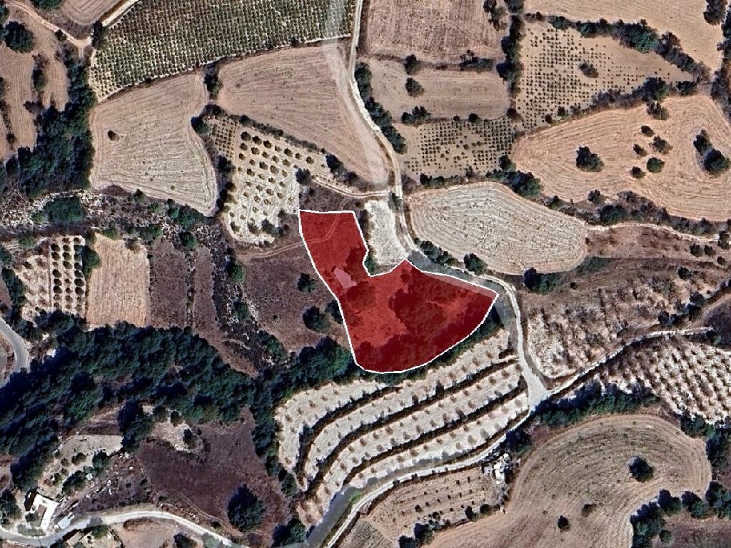 Field - Drymou, Paphos