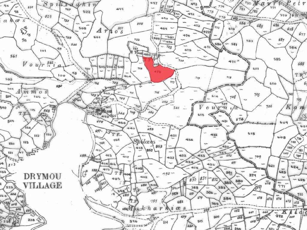 Field - Drymou, Paphos