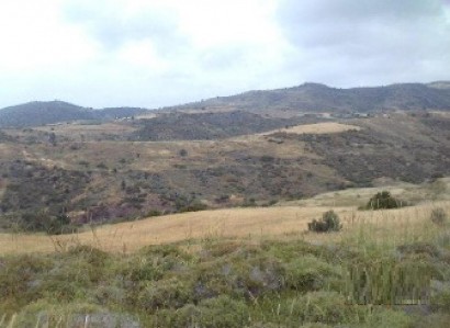 Ineia, Paphos Agricultural Field For Sale | WW31124