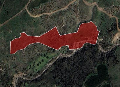 Ineia, Paphos Agricultural Field For Sale | WW31124