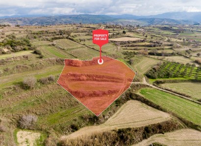 Polemi, Paphos Agricultural Field For Sale | WW31148