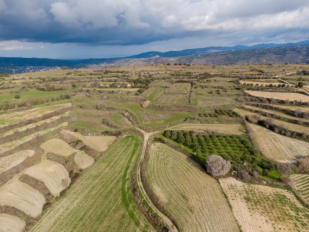 Field - Polemi, Paphos
