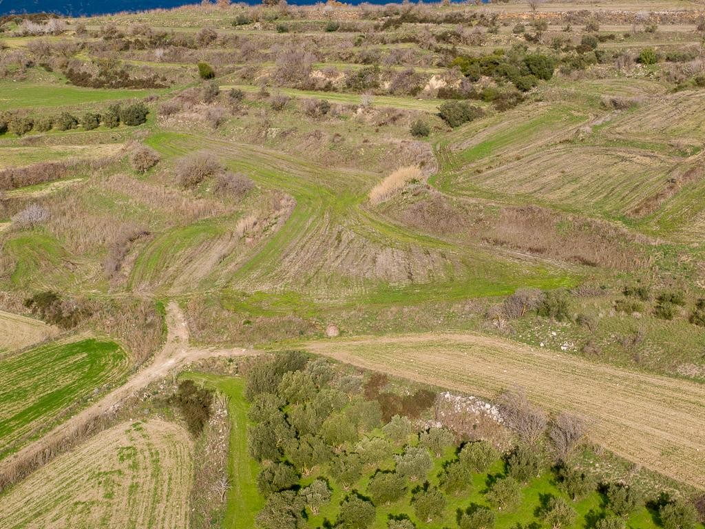Field - Polemi, Paphos