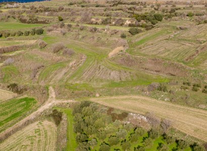 Polemi, Paphos Agricultural Field For Sale | WW31148