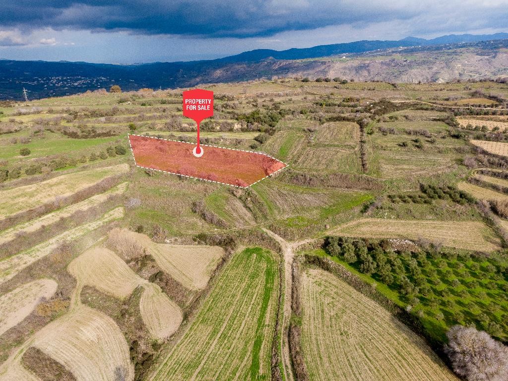 Polemi, Paphos Agricultural Field For Sale | WW31149
