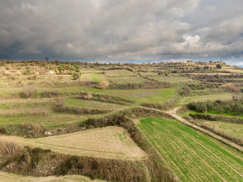 Field - Polemi, Paphos