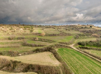 Polemi, Paphos Agricultural Field For Sale | WW31149