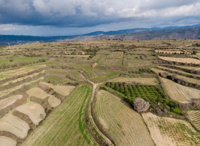 Polemi, Paphos Agricultural Field For Sale | WW31149