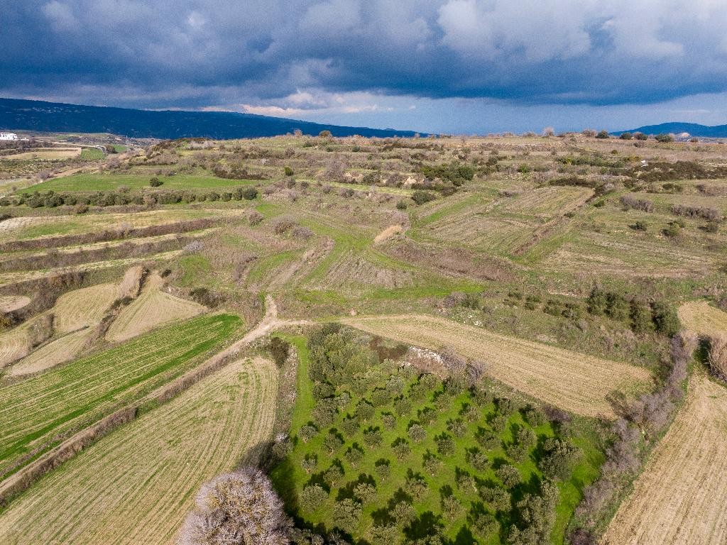 Field - Polemi, Paphos