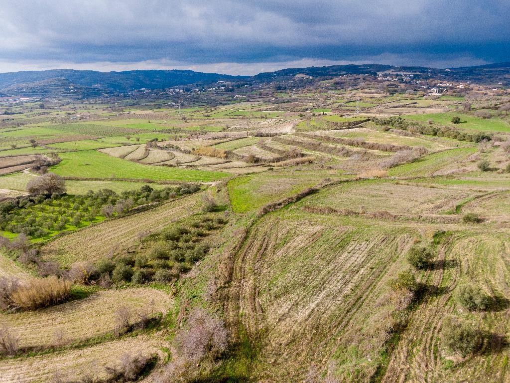Field - Polemi, Paphos