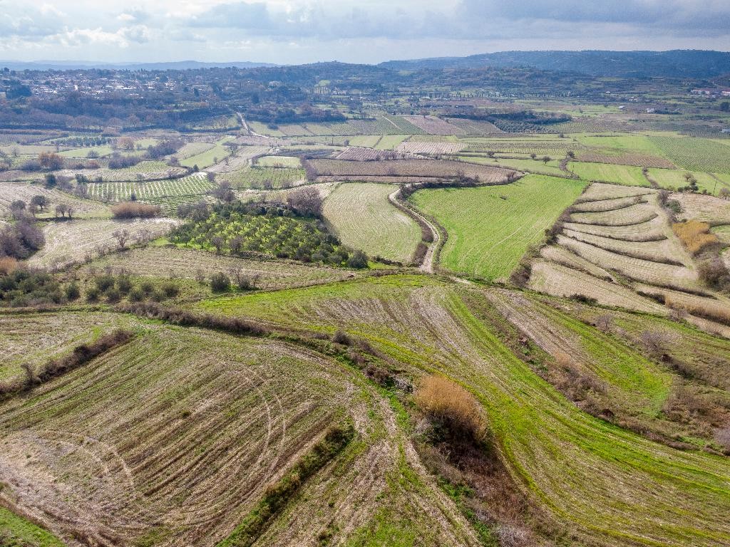 Field - Polemi, Paphos