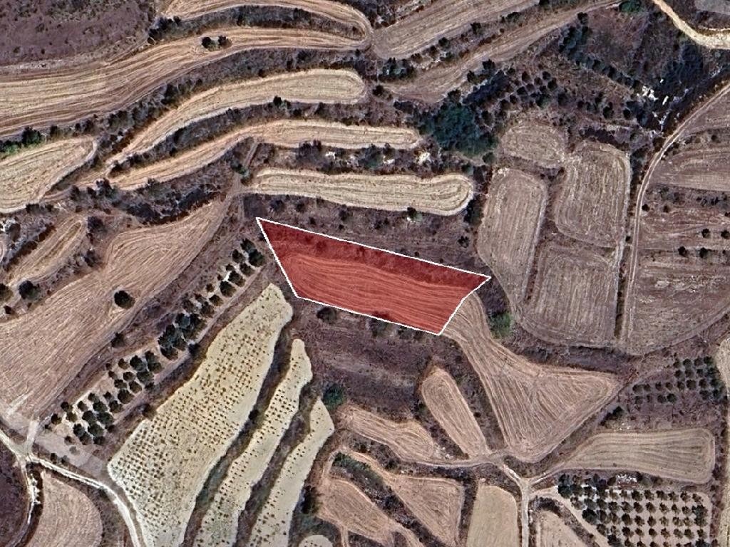 Field - Polemi, Paphos
