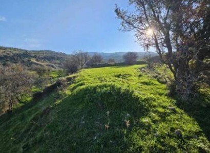 Kelokedara, Paphos Agricultural Field For Sale | WW31150