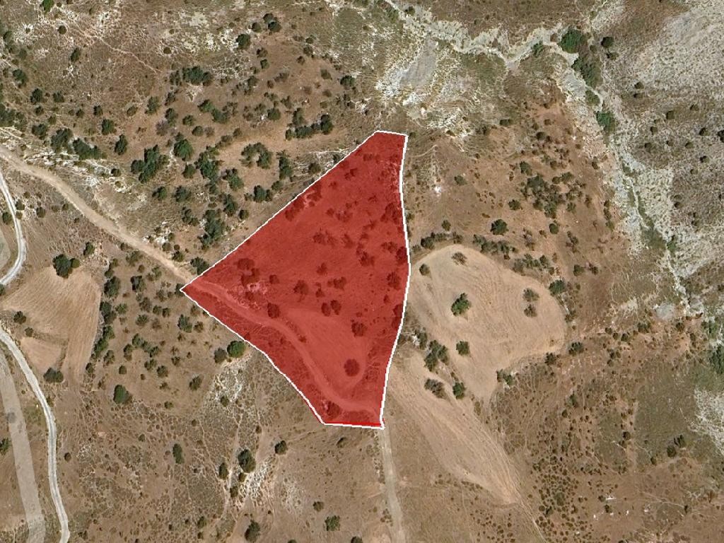 Field - Kelokedara, Paphos