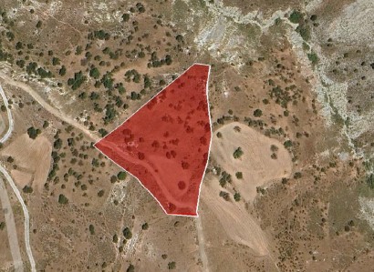 Kelokedara, Paphos Agricultural Field For Sale | WW31150